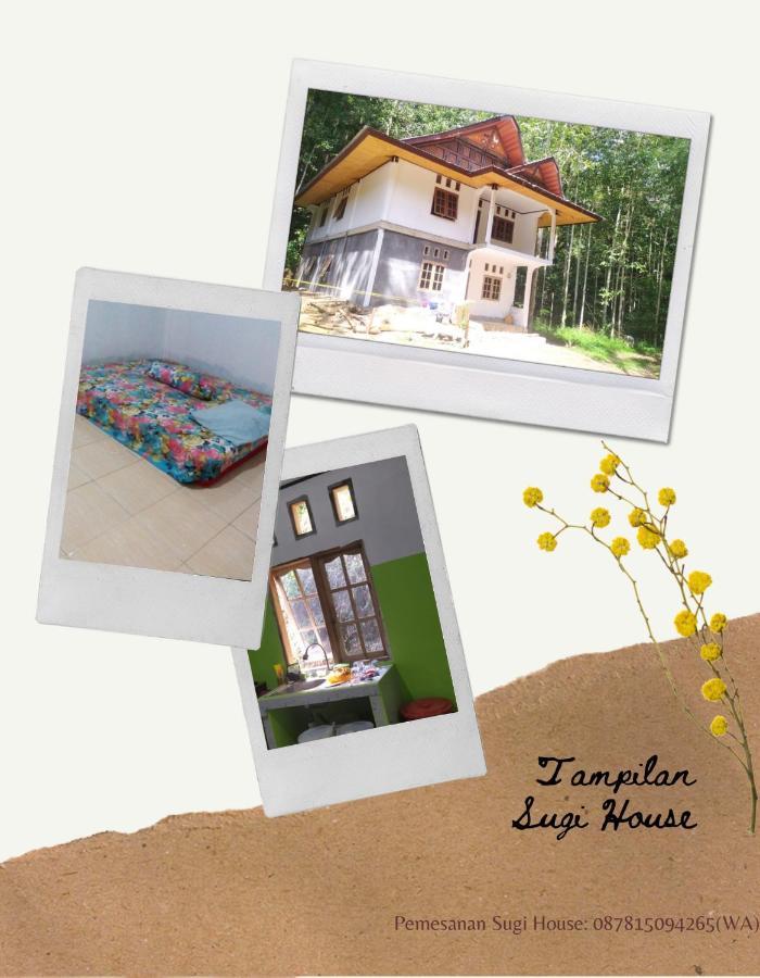 Sugi House Toraja - Villa Penginapan Sewa Harian Rantepao Bagian luar foto